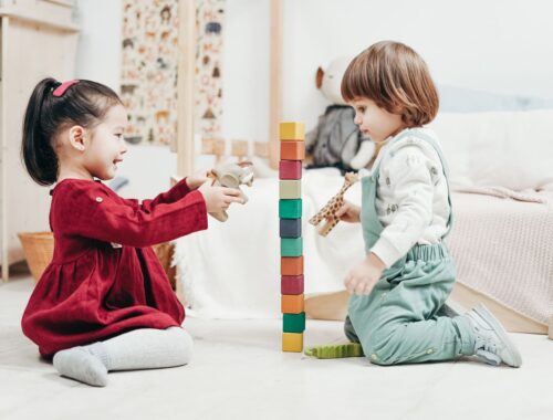 toys and play segment